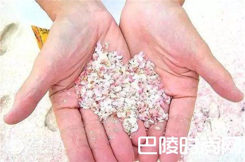 巴哈马粉色沙滩 马尔代夫星空沙滩|冰岛杰古沙龙湖冰滩 美国加州布拉格堡玻璃海滩