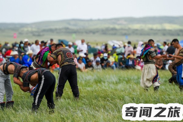 那达慕大会是哪个少数民族的传统节日（蒙古族那达慕大会的活动）