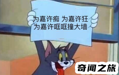 段嘉许出自哪里（段嘉许是个什么梗）