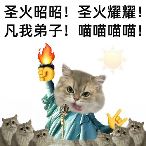 猫猫教和狗狗教指的是网络上哪些（圣火喵喵教什么意思）