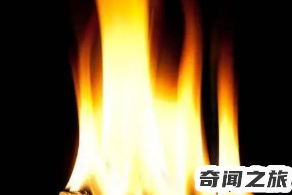 燊字的来历意思（燊的读音是啥意思）