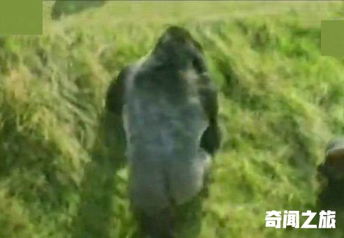 “猩猩男孩”已是两个孩子的爸爸！