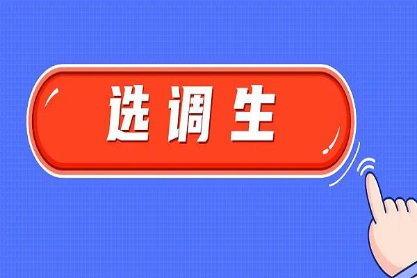 选调生报考具体条件（选调生是报考条件还是要求）