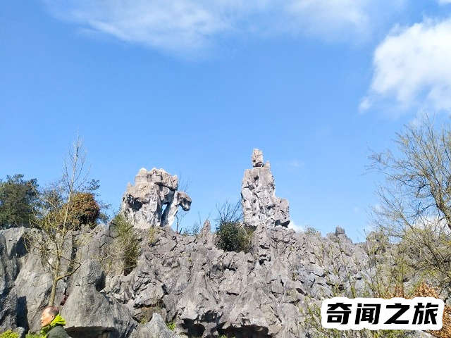 杭州有哪些旅游景点值得一去（杭州市旅游攻略必去景点大全）