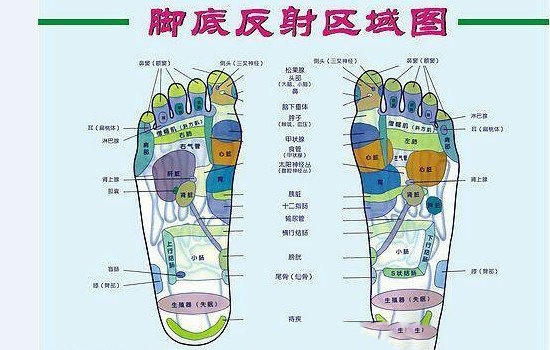 脚的部位示意图（整个脚的部位图解）