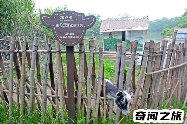 杭州有哪些旅游景点值得一去（杭州市旅游攻略必去景点大全）