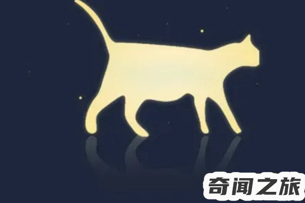 薛定谔的猫是用来解释什么的（薛定谔的猫意义何在）