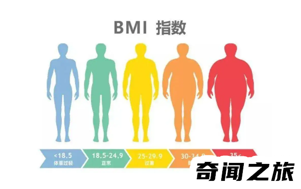 bmi指数男女标准表（bmi指数男女标准一样吗）