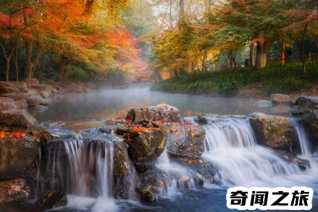 杭州有哪些旅游景点值得一去（杭州市旅游攻略必去景点大全）