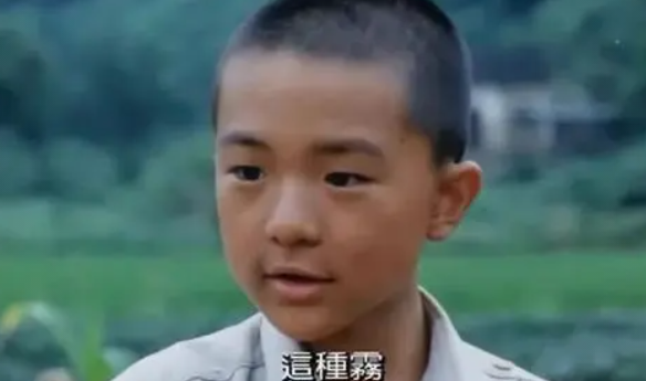 歌词细思极恐让人深思