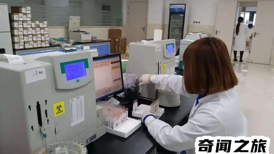 医学检验技术专业主修课程有哪些（医学检验技术具体是学什么）