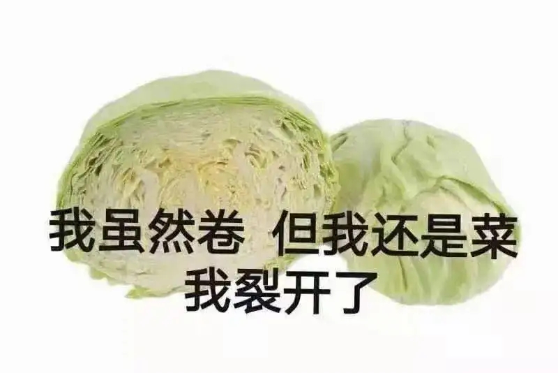 叫人卷心菜（卷心菜人含义介绍）