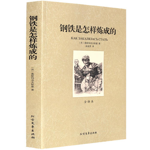 钢铁是怎样炼成的读后感简短的（钢铁是怎样炼成的读后感总结）