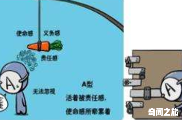 a型血型的人的性格特征（一种比较能吃苦耐劳的人）