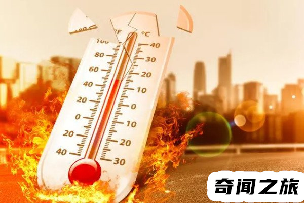 汶川地震神秘的自然现象（街道上出现了成片成片的蟾蜍）