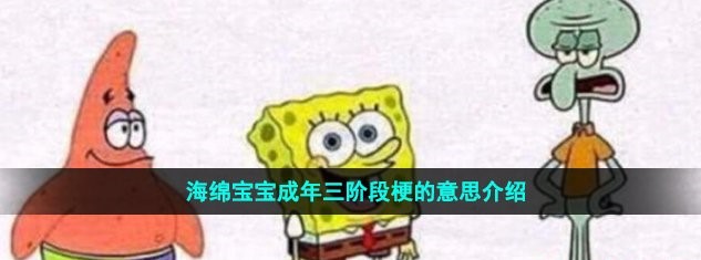 海绵宝宝成年三阶段梗（人生成长的三个阶段进行的形象总结）