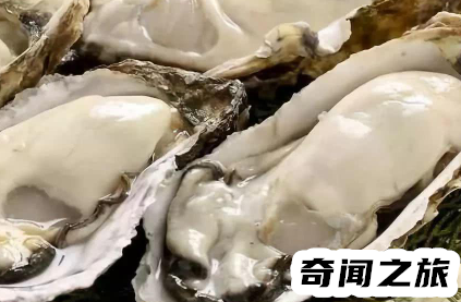 海蛎子是生蚝不还是海鲜(海蛎子也叫牡蛎)