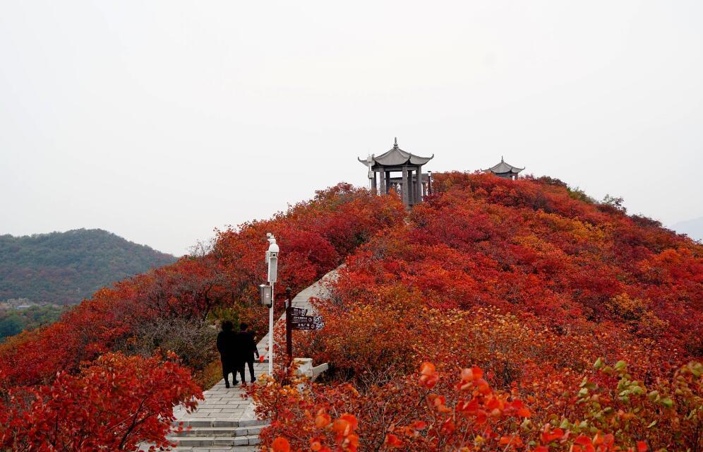 天门必去的十大景点介绍