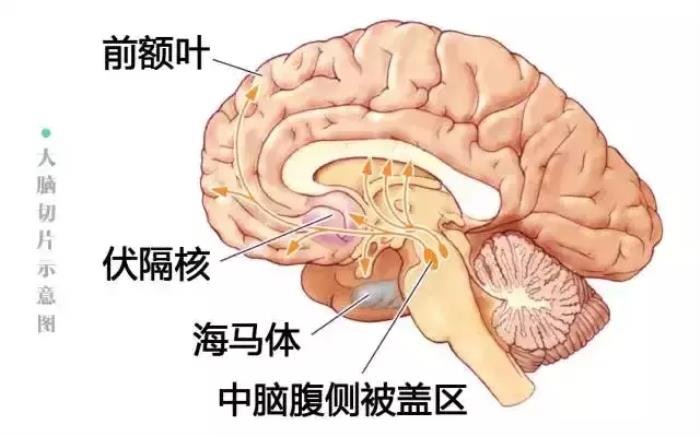 男生有了女朋友不得不说的秘密（男的为啥想睡女朋友）