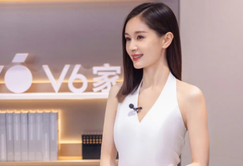 王子文结婚了吗（王子文儿子生父再惹争议）