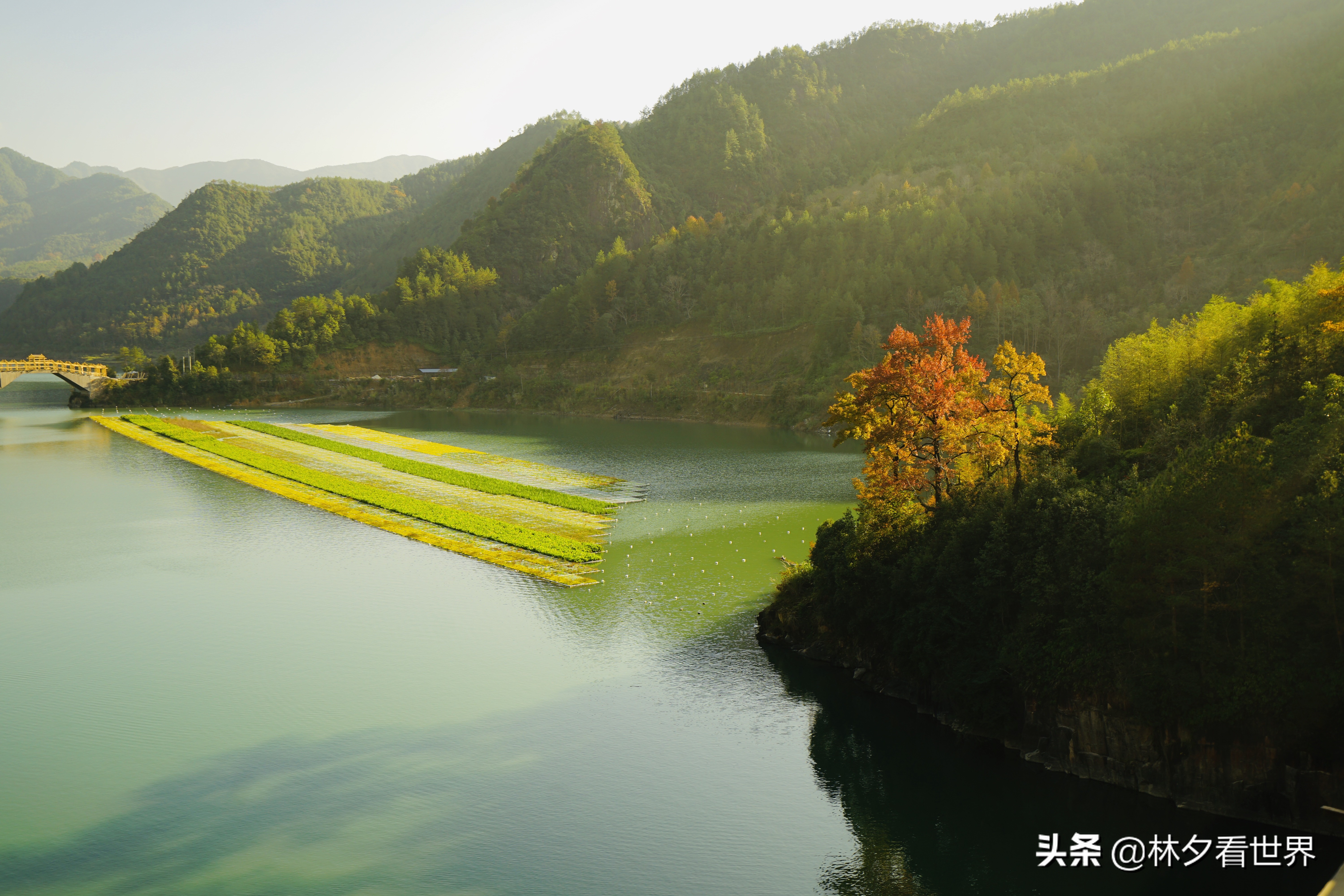 温州六个最值得打卡的地方（温州哪里好玩的景点推荐）