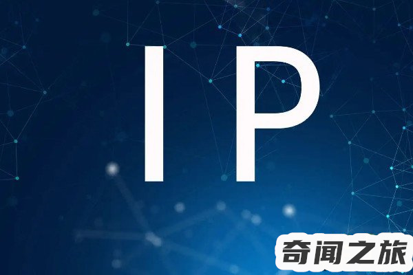 在internet中IP地址是由（ip地址有哪些协议）