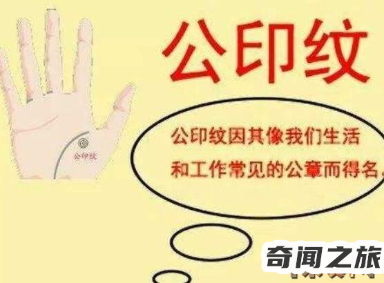 手纹的女人命运（如何看手纹知道命相）