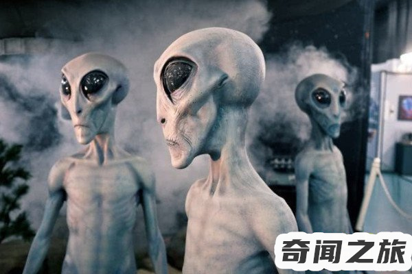 外星人绑架事件真相大揭秘（外星人绑架事件最新）