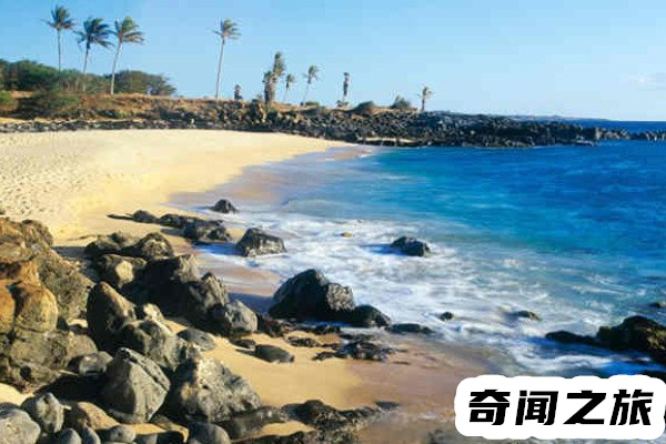 夏威夷海滩（夏威夷海滩日光浴）