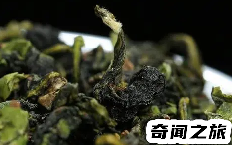 铁观音是什么茶（铁观音是乌龙茶）