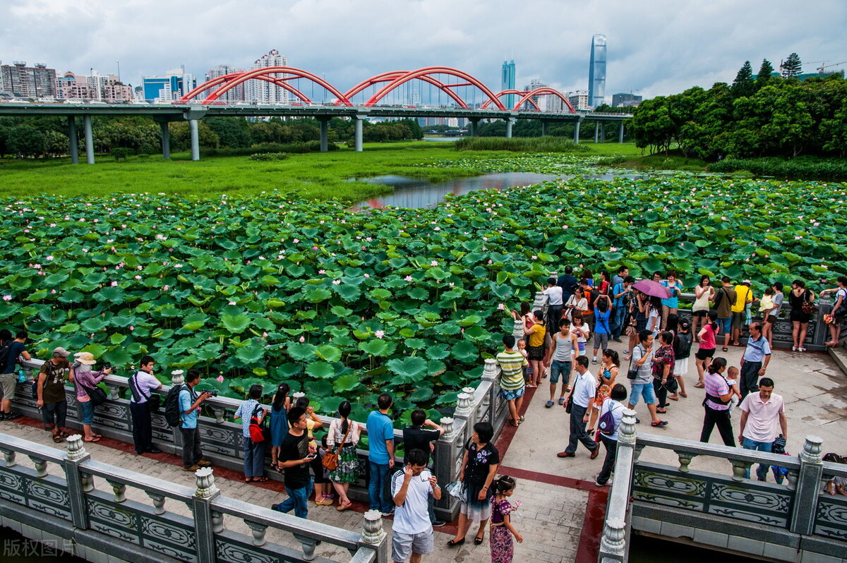 深圳哪里好玩的景点免费开放（深圳好玩的地方推荐免费景点最新）