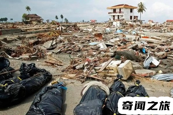 印尼海啸死亡多少人(印尼海啸死亡造成了22.6万人死亡)