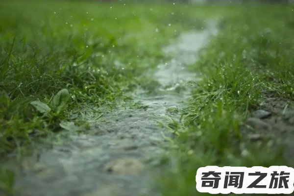 降水量毫米的概念（降水量毫米怎么理解）