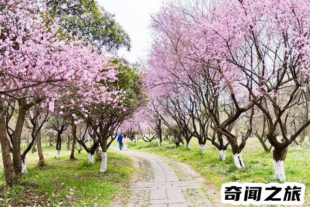 杭州有哪些旅游景点值得一去（杭州市旅游攻略必去景点大全）