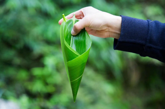 粽叶怎么处理才能包粽子不粘粽叶（包粽子的六个顺序）