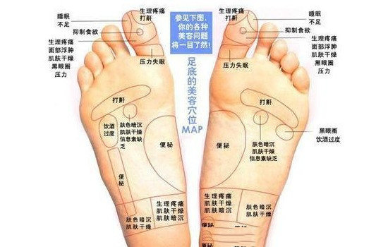 脚的部位示意图（整个脚的部位图解）