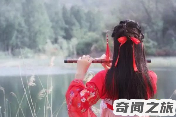 李子柒事件是怎么回事(李子柒事件全部过程)