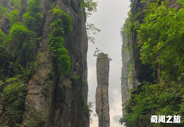 恩施十大旅游景点