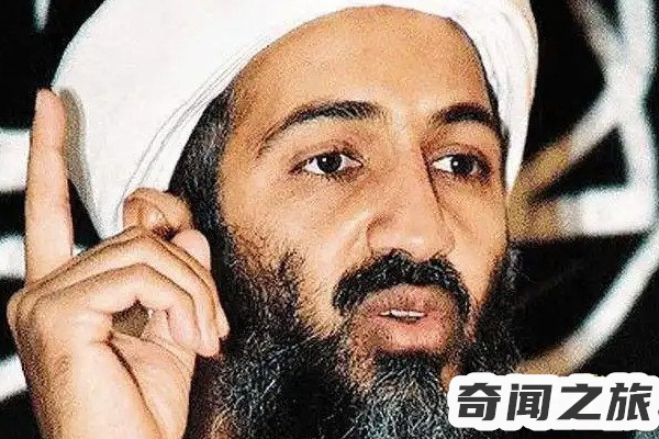 本拉登为何要袭击911（沙特和外国人勾结摧毁了宗教的神圣性）