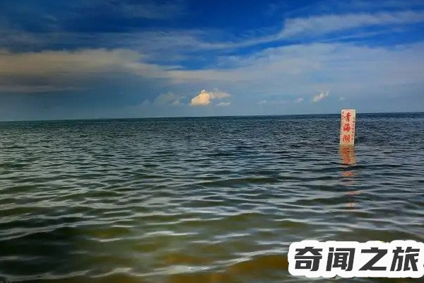 青海湖惊现水怪真面目（青海湖水怪长什么样子）