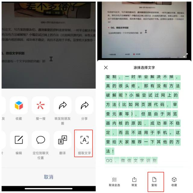 文档突然不能复制粘贴（word文档为啥复制不了）