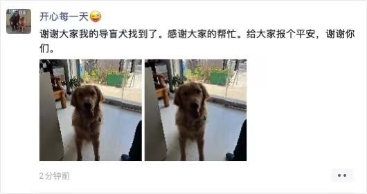 丢失的导盲犬后续（已找到目前狗狗状态还好）