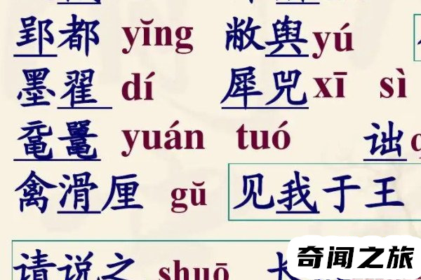 觞觥觚斛的拼音（shang gong gu hu）