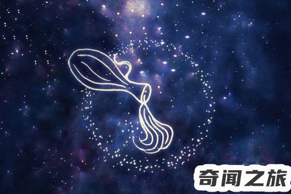 死神都不敢惹的五大星座水瓶座（双子座摩羯座天蝎座白羊座）