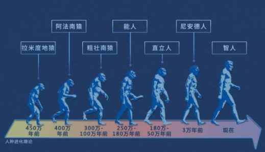 人类进化的历程是怎样的