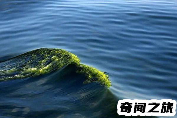 世界上最长的海沟秘鲁智利海沟(长度大约为5900公里)