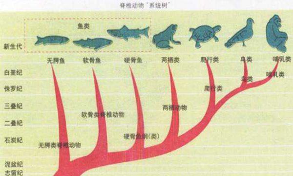 早期生物的出现（首批细胞复制使用的是核糖核酸RNA）