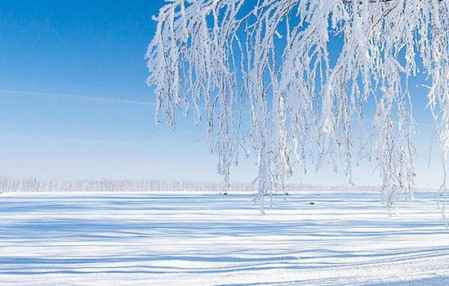 大雪节气的优美祝福语(大雪节气祝福语精选大全）