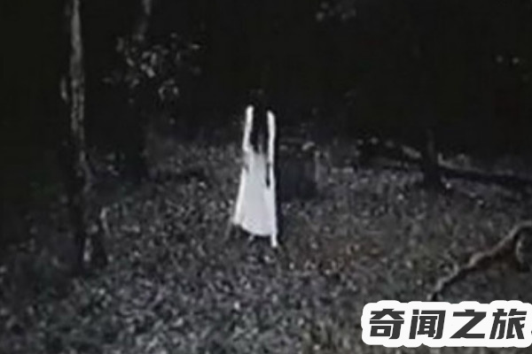 午夜凶铃真的吓死过人吗（据说最初在上映是吓死过3个人）