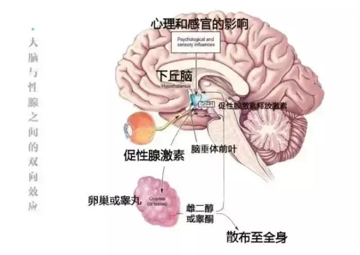 男生有了女朋友不得不说的秘密（男的为啥想睡女朋友）